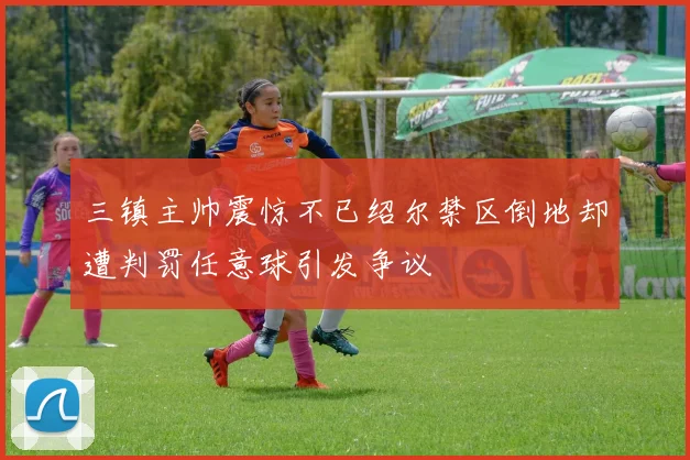 三镇主帅震惊不已绍尔禁区倒地却遭判罚任意球引发争议